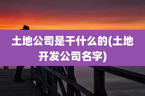 土地公司是干什么的(土地开发公司名字)