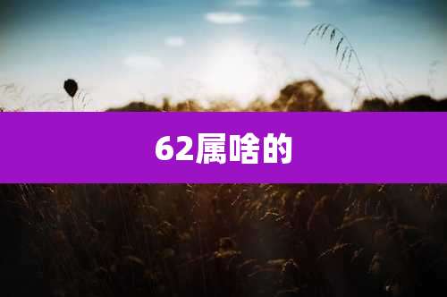 62属啥的