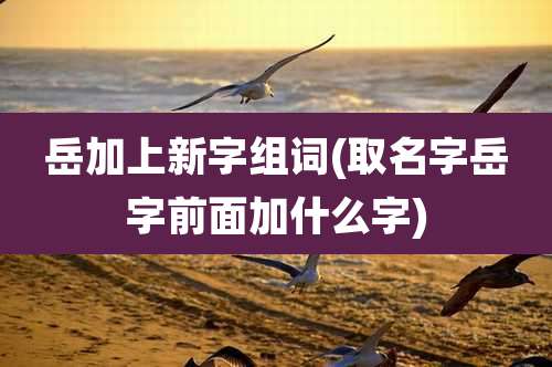 岳加上新字组词(取名字岳字前面加什么字)