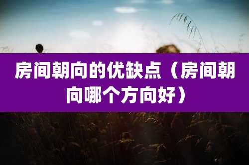 房间朝向的优缺点（房间朝向哪个方向好）