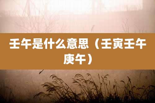 壬午是什么意思（壬寅壬午庚午）