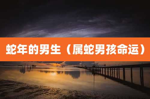 蛇年的男生（属蛇男孩命运）