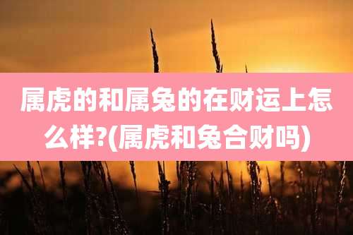 属虎的和属兔的在财运上怎么样?(属虎和兔合财吗)