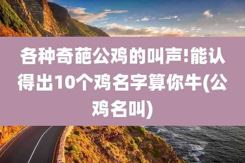 各种奇葩公鸡的叫声!能认得出10个鸡名字算你牛(公鸡名叫)