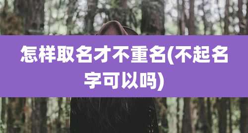 怎样取名才不重名(不起名字可以吗)