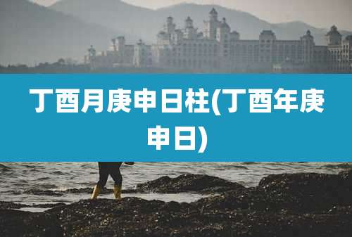 丁酉月庚申日柱(丁酉年庚申日)