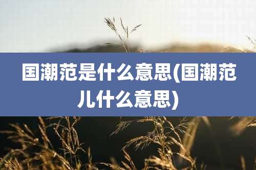 国潮范是什么意思(国潮范儿什么意思)