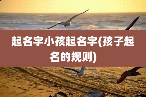 起名字小孩起名字(孩子起名的规则)