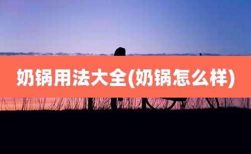 奶锅用法大全(奶锅怎么样)