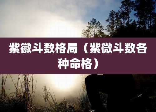 紫徽斗数格局（紫微斗数各种命格）