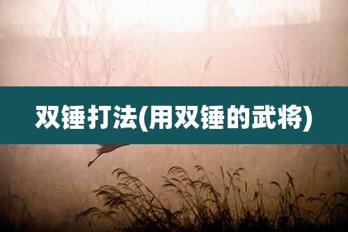 双锤打法(用双锤的武将)