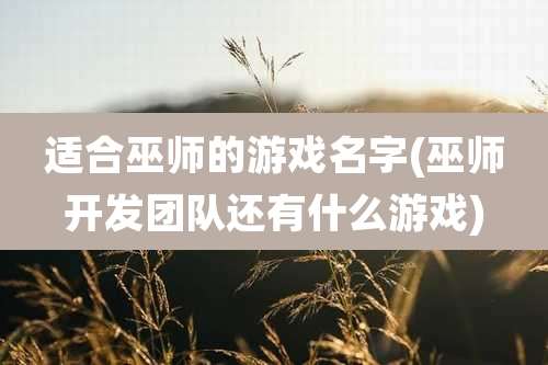适合巫师的游戏名字(巫师开发团队还有什么游戏)