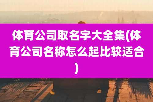 体育公司取名字大全集(体育公司名称怎么起比较适合)