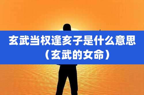 玄武当权逢亥子是什么意思（玄武的女命）