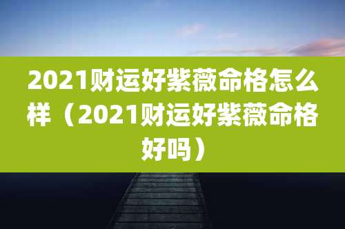 2021财运好紫薇命格怎么样（2021财运好紫薇命格好吗）