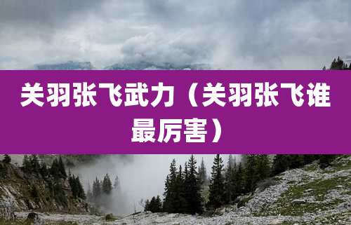 关羽张飞武力（关羽张飞谁最厉害）