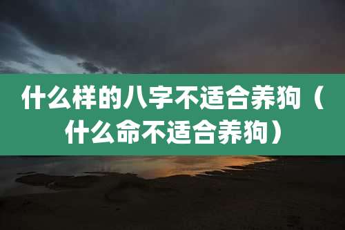 什么样的八字不适合养狗(什么命不适合养狗)
