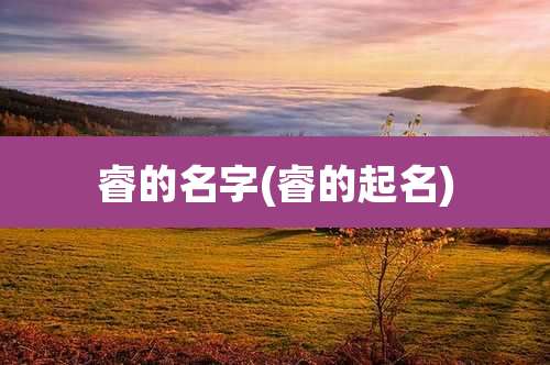 睿的名字(睿的起名)