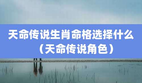 天命传说生肖命格选择什么(天命传说角色)