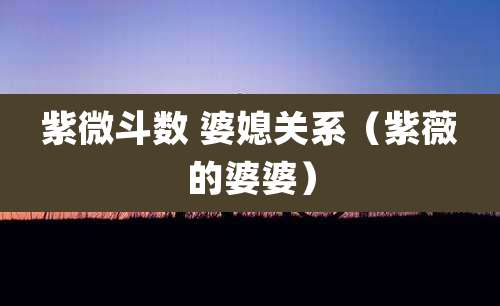 紫微斗数 婆媳关系（紫薇的婆婆）