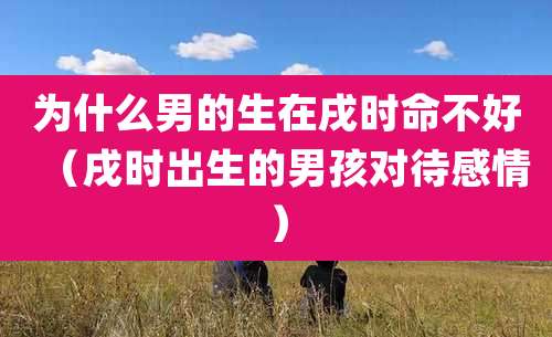 为什么男的生在戌时命不好（戌时出生的男孩对待感情）