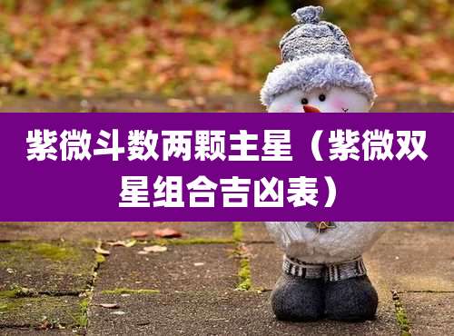 紫微斗数两颗主星（紫微双星组合吉凶表）