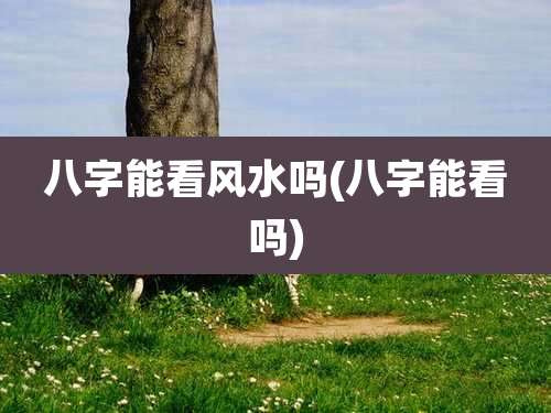 八字能看风水吗(八字能看吗)