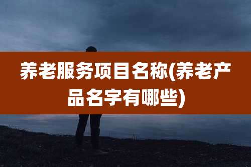 养老服务项目名称(养老产品名字有哪些)