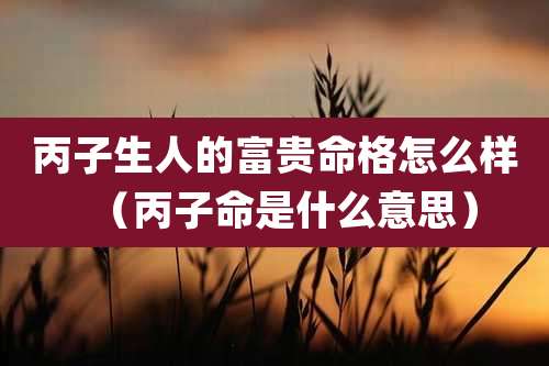 丙子生人的富贵命格怎么样（丙子命是什么意思）