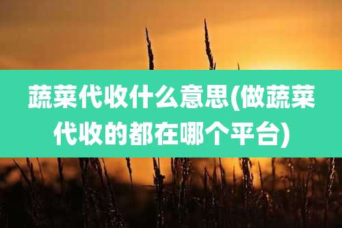 蔬菜代收什么意思(做蔬菜代收的都在哪个平台)