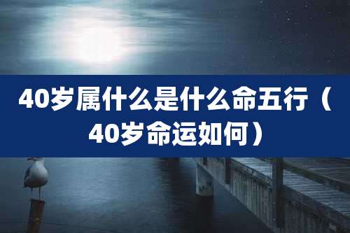 40岁属什么是什么命五行（40岁命运如何）