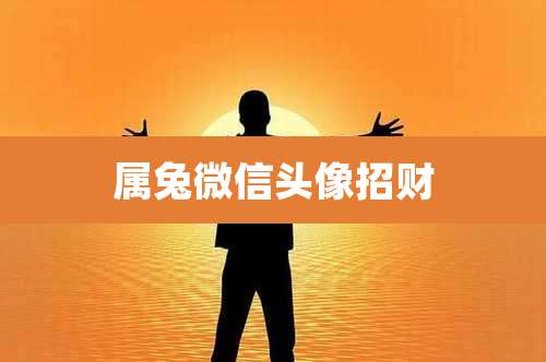 属兔微信头像招财