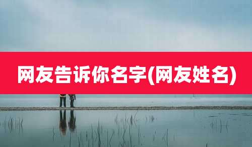 网友告诉你名字(网友姓名)