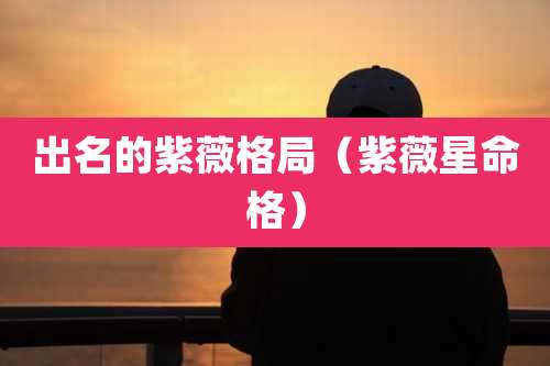 出名的紫薇格局（紫薇星命格）