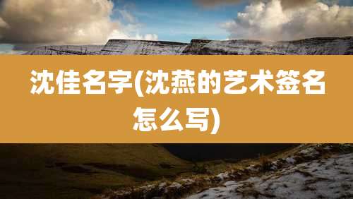 沈佳名字(沈燕的艺术签名怎么写)
