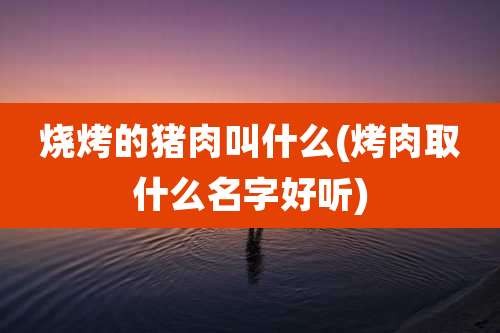 烧烤的猪肉叫什么(烤肉取什么名字好听)