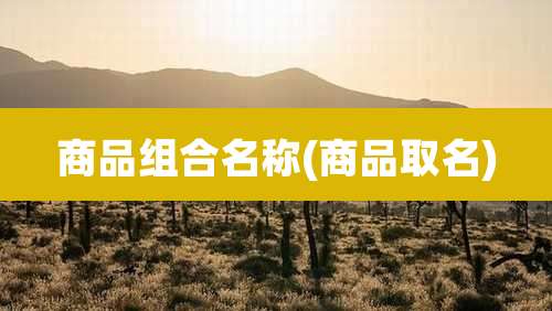 商品组合名称(商品取名)