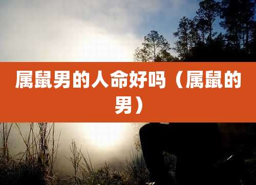 属鼠男的人命好吗（属鼠的男）