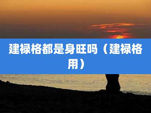 建禄格都是身旺吗（建禄格用）