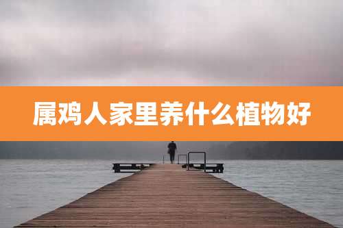 属鸡人家里养什么植物好