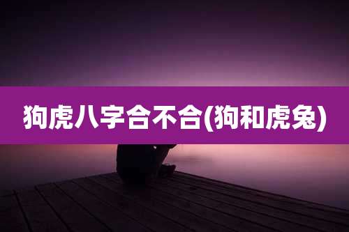 狗虎八字合不合(狗和虎兔)
