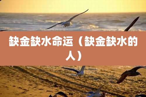 缺金缺水命运（缺金缺水的人）