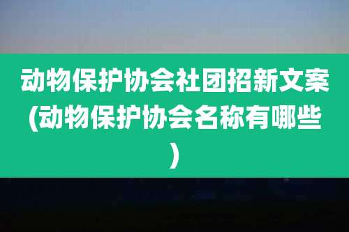 动物保护协会社团招新文案(动物保护协会名称有哪些)