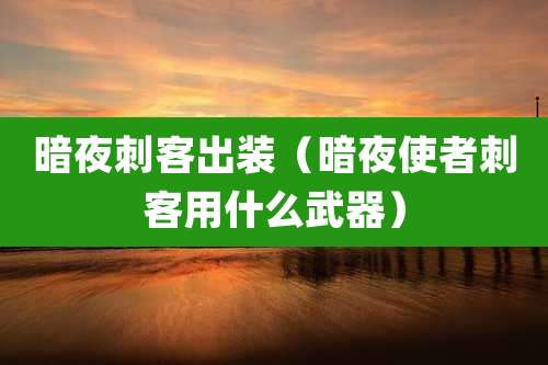 暗夜刺客出装（暗夜使者刺客用什么武器）