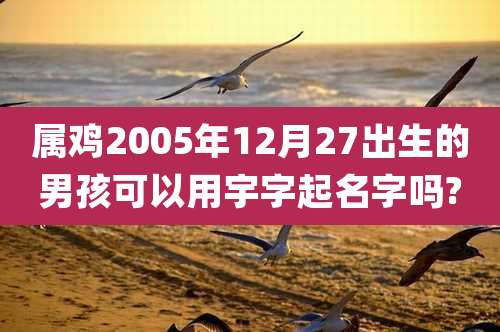 属鸡2005年12月27出生的男孩可以用宇字起名字吗?