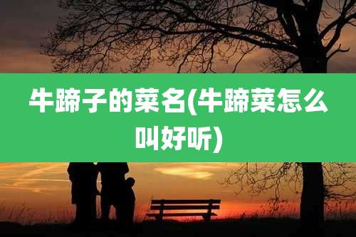 牛蹄子的菜名(牛蹄菜怎么叫好听)