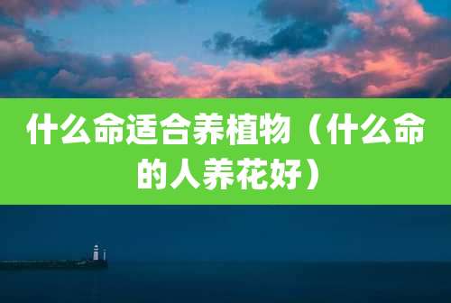 什么命适合养植物（什么命的人养花好）