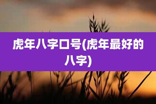 虎年八字口号(虎年最好的八字)