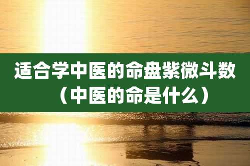 适合学中医的命盘紫微斗数（中医的命是什么）