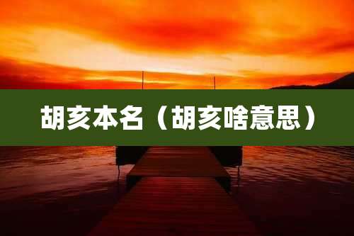 胡亥本名（胡亥啥意思）